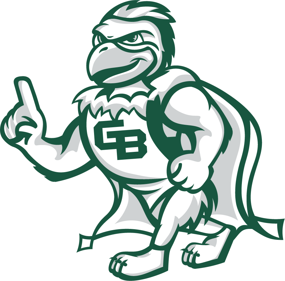 Wisconsin-Green Bay Phoenix 2020-Pres Mascot Logo v3 t shirts iron on transfers